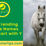 horse-names-that-start-with-y-featured