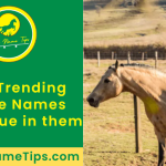 horse-names-with-blue-in-them-featured