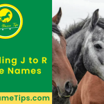 j-to-r-horse-names-featured