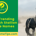 spanish-stallion-horse-names-featured