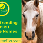 spirit-horse-names-featured