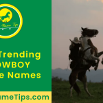 COWBOY-horse-names-featured