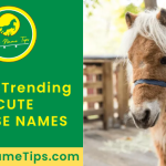 CUTE-horse-names-featured