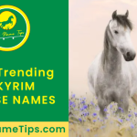 SKYRIM-horse-names-featured