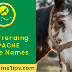 apache-horse-names-featured