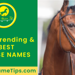 best-horse-names-featured