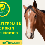 buttermilk-buckskin-horse-names-featured