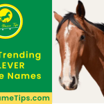 clever-horse-names-featured