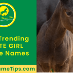 cute-girl-horse-names-featured