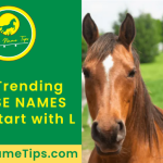 horse-names-that-start-with-L-featured