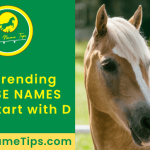 horse-names-that-start-with-d-featured