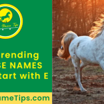 horse-names-that-start-with-e-featured