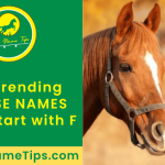 horse-names-that-start-with-f-featured