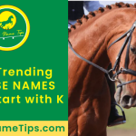 horse-names-that-start-with-k-featured