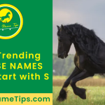 horse-names-that-start-with-s-featured