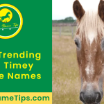 old-timey-horse-names-featured