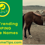 roping-horse-names-featured