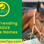 sioux-horse-names-featured