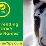 spooky-horse-names-featured