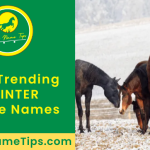 WINTER-horse-names-featured