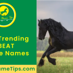 beat-horse-names-featured