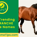 comanche-horse-names-featured