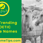 poetic-horse-names-featured